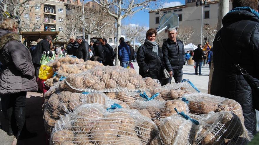 L&#039;excés de pluja provoca una temporada irregular de la collita del trumfo al Solsonès