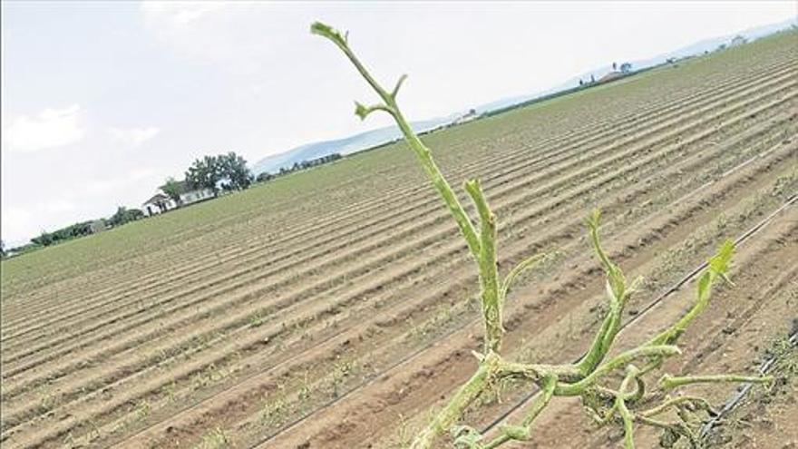 La enésima ‘paliza’ al campo extremeño