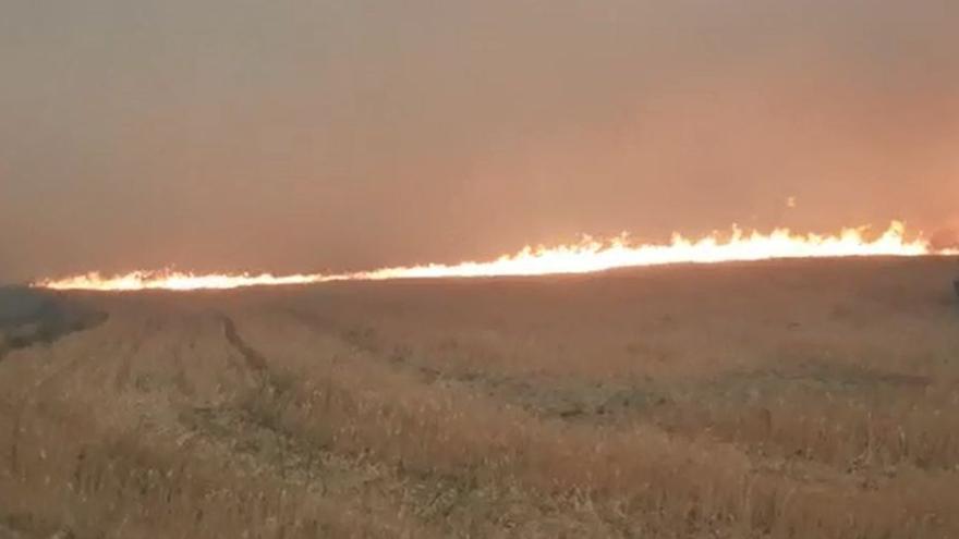 Uno de los frentes del incendio de Añón de Moncayo