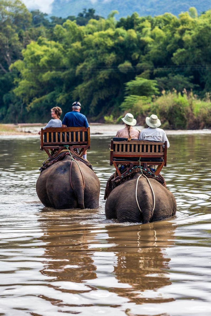 Paseo en elefante