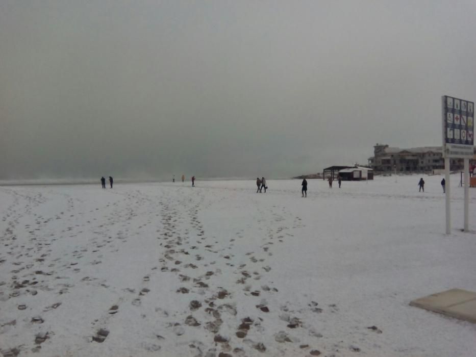 Una fina capa de nieve ha cubierto las playas, los techos de los vehículos, zonas verdes y tejados de Torrevieja, Orihuela Costa y Pilar de la Horadada