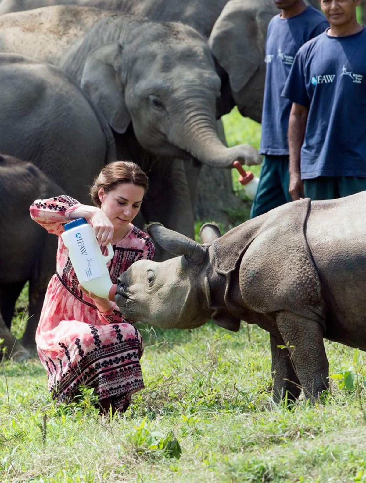 Kate Middleton dando el biberón a un rinoceronte