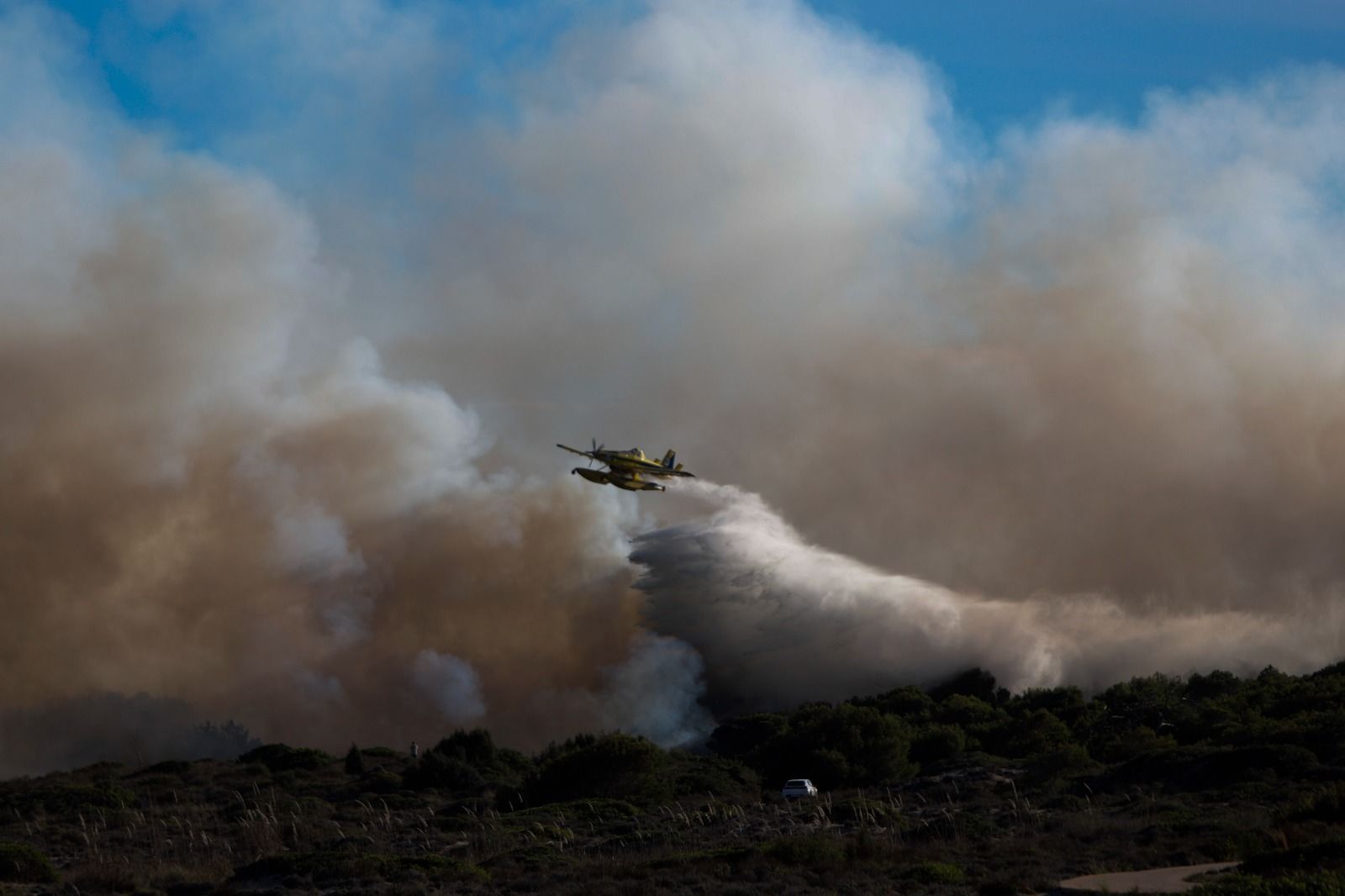 El incendio forestal del Saler, en imágenes