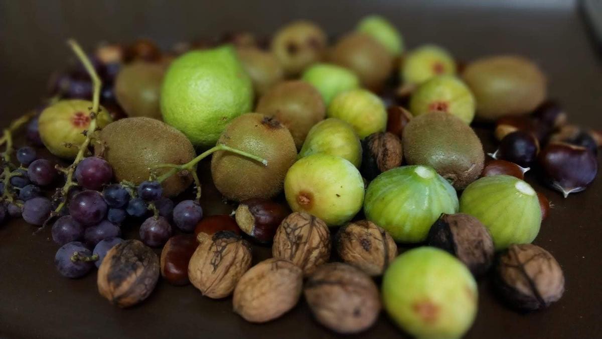 Recolecta de otoño en Cambre-Coruña