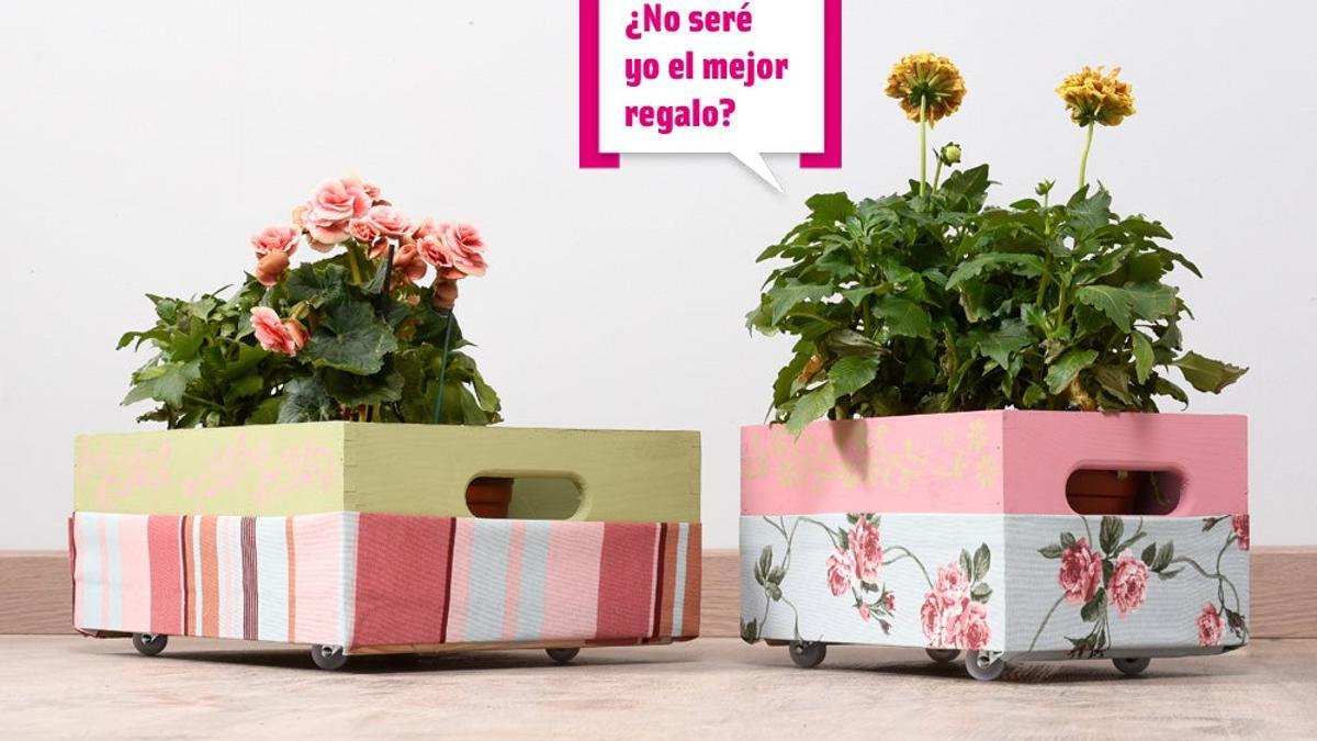 Maceteros DIY regalo