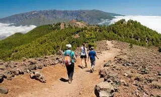 El tirón del mercado alemán confirma la mejoría turística en La Palma