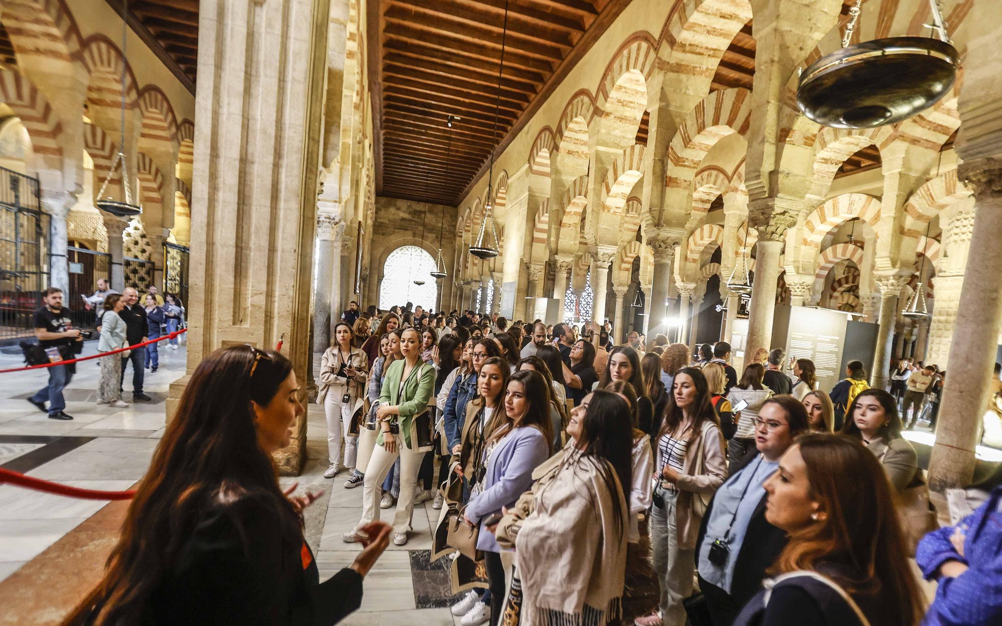 Visita a la Mezquita de las bellezas de las Hogueras de Sant Joan