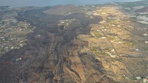 La Palma tem que la lava enterri el seu cementiri