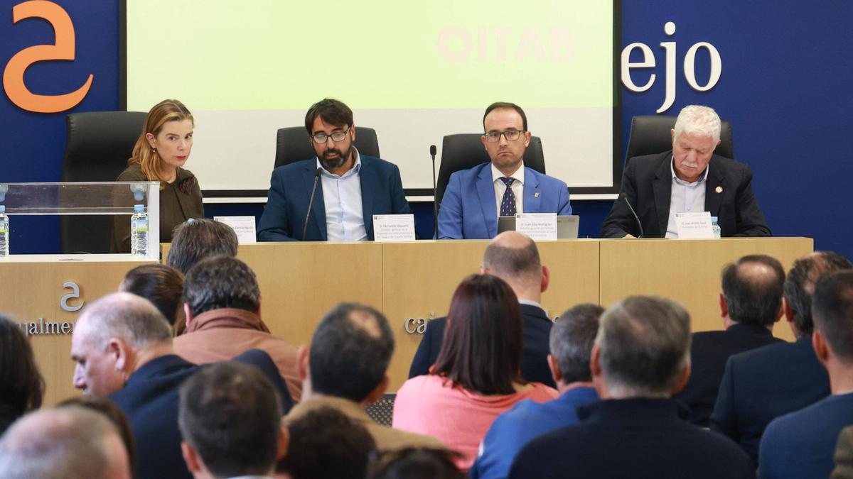 Presentación del informe esta mañana en el chalet de los Málaga, sede de Cajalmendralejo en Cáceres.