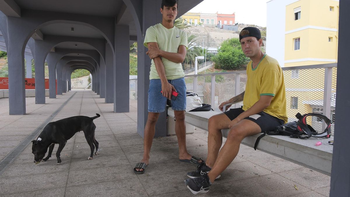 Camilo Leal y Lenier Martínez en la grada Tribuna del Parque del Estadio Insular.