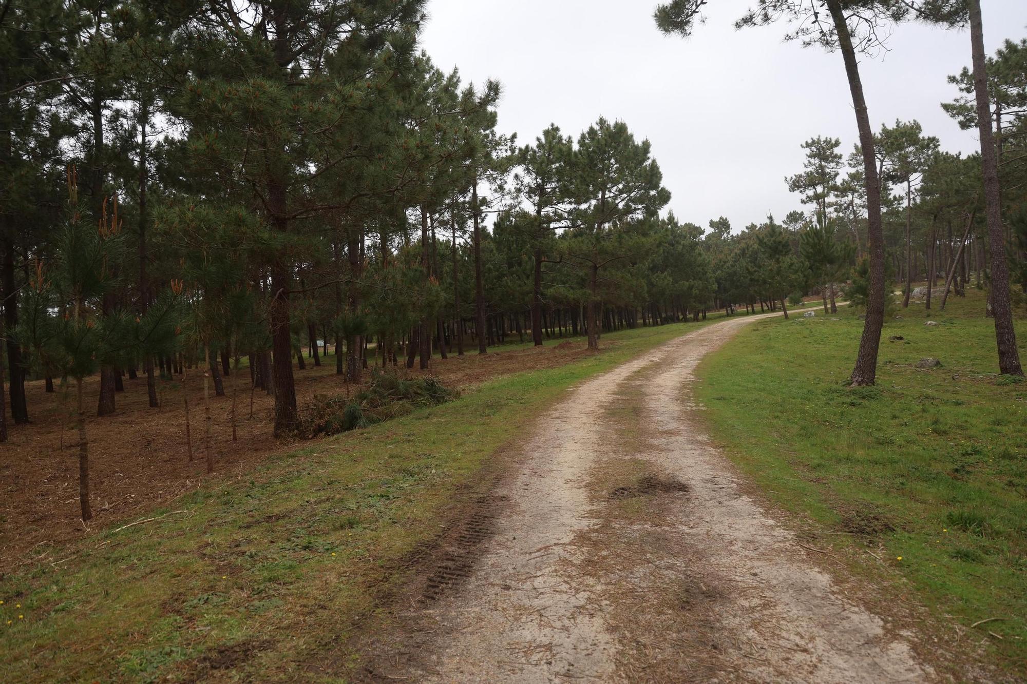 Participantres en las visitas organizadas por Pinchanogrove en la batería militar de Puerto Cuaces.