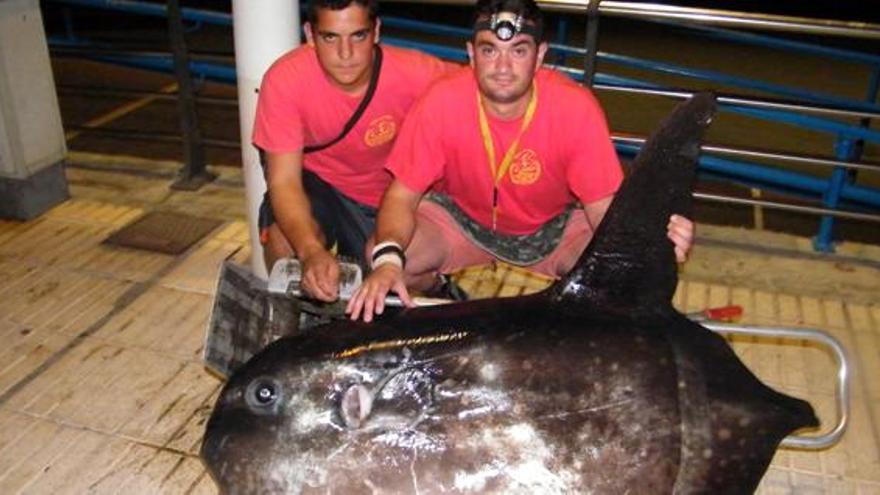 Capturan un pez de 107 kilos en La Palma