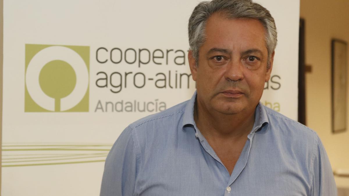 Javier Alcalá, presidente de la DOP Baena.