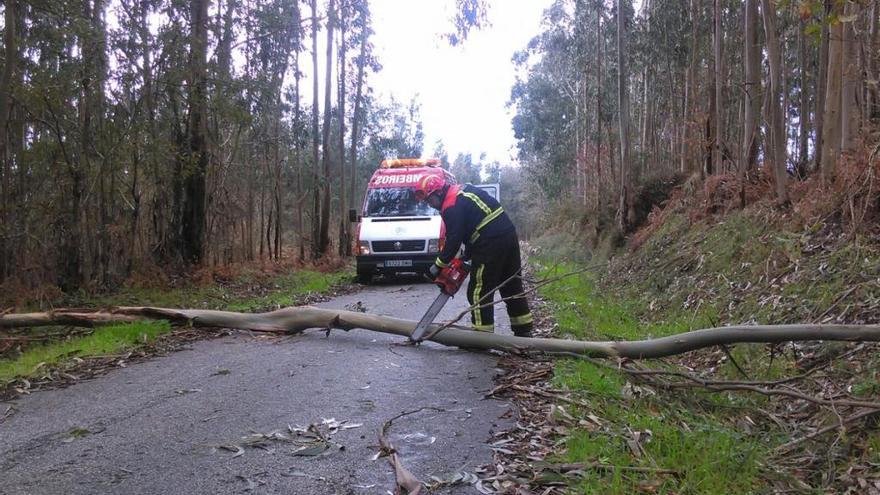 Emerxencias de Sanxenxo retira ramas caídas