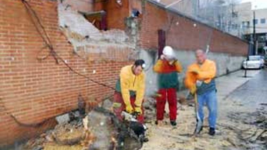 El viento tiró un árbol sobre la Casa de la Mujer