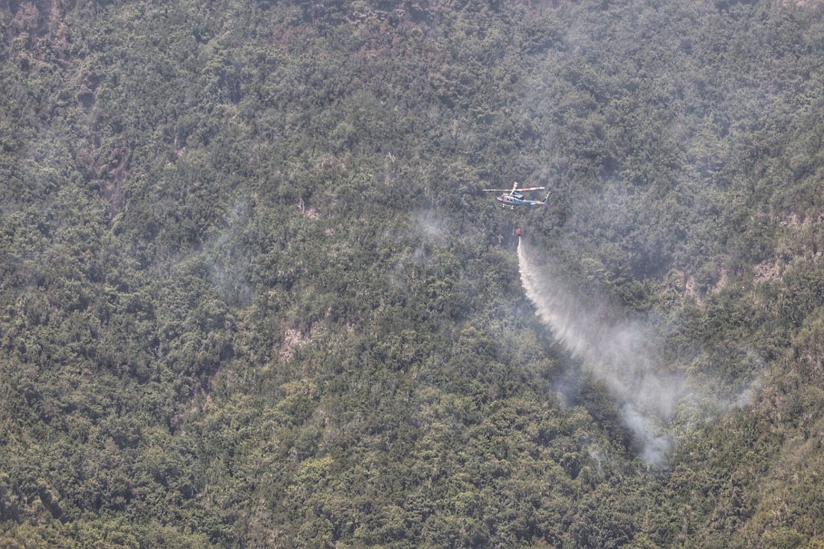 Incendio del norte de Tenerife (25/07/2022)