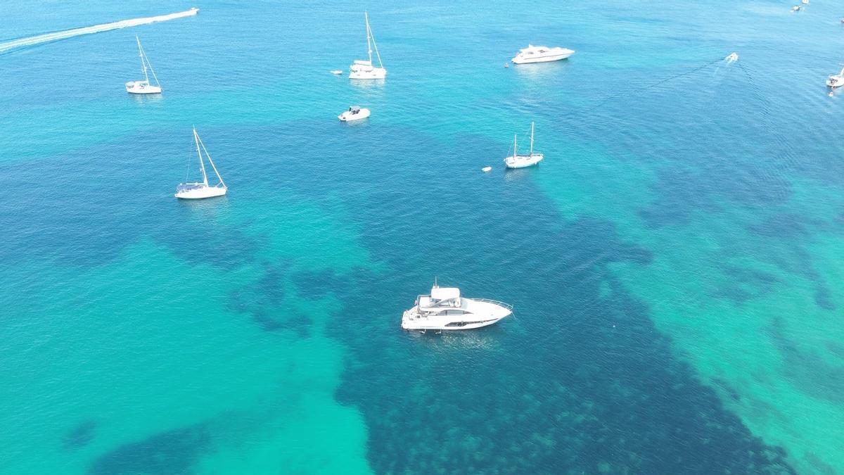 Imagen en la que se ve claro que la embarcación ha dejado caer el ancla sobre la pradera de posidonia