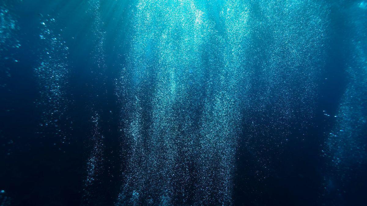 La falta de oxígeno en océanos y ríos puede empujar a la Tierra hacia un punto crítico.