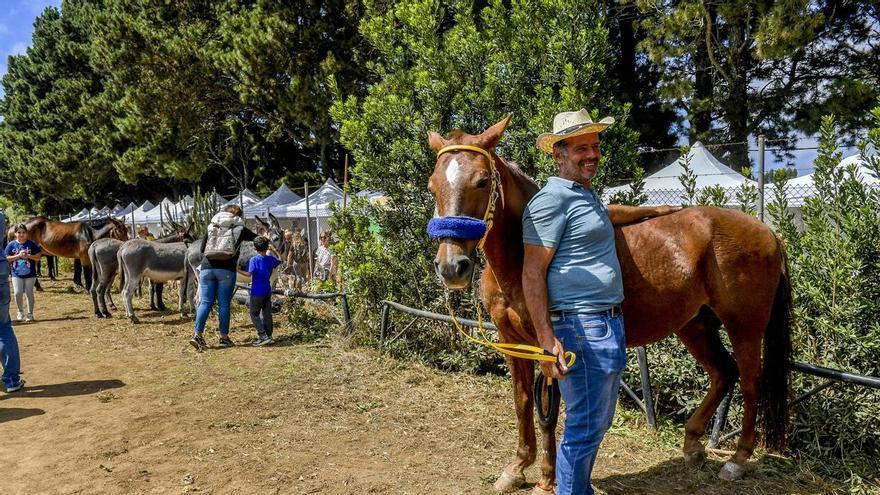 El área Recreativa de La Laguna en Valleseco ofrece un verano de aprendizaje y diversión a 120 niños
