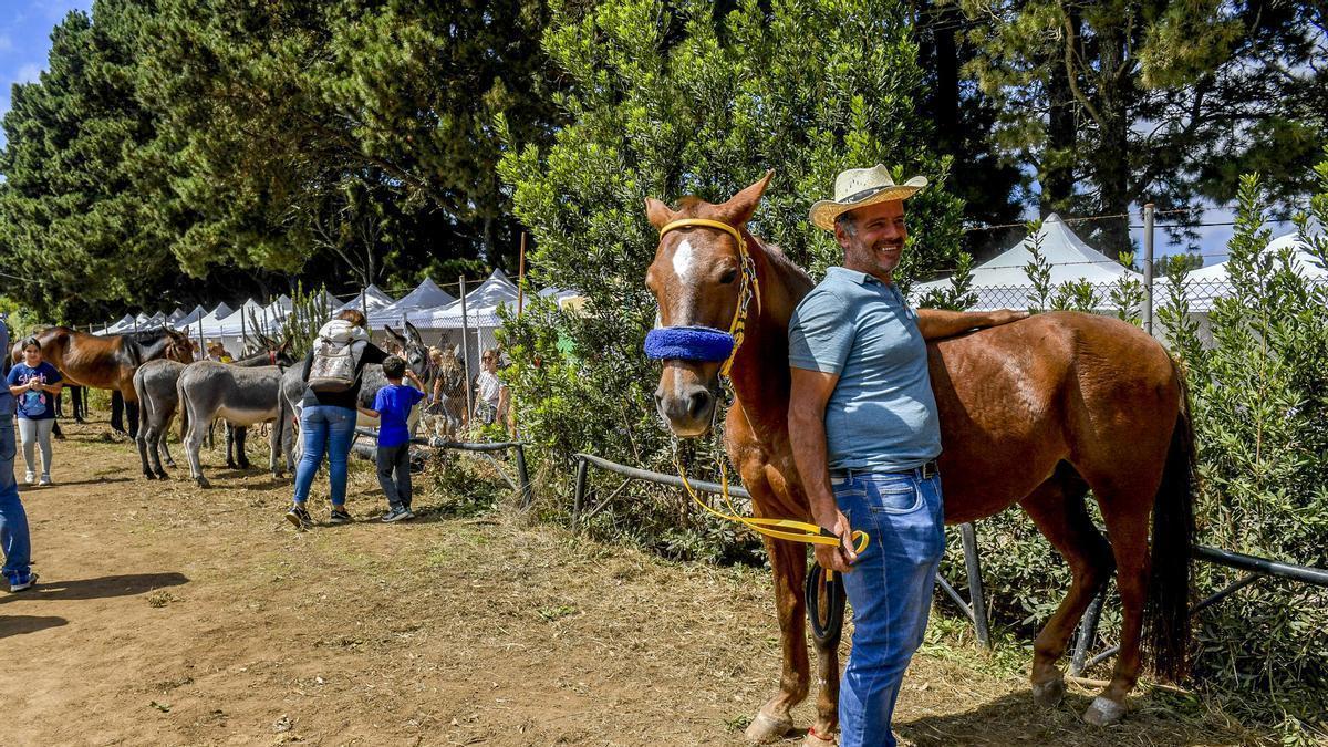Fiesta del turismo en Valleseco, foto de archivo