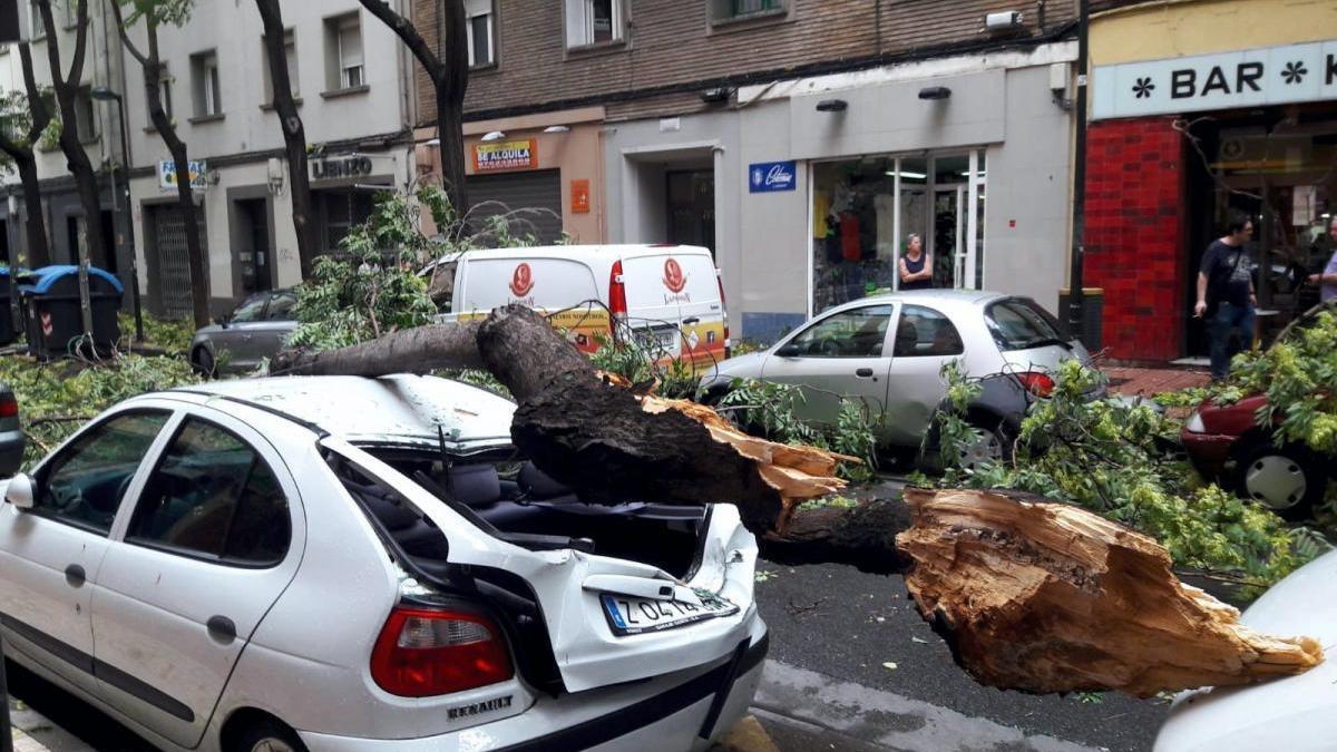 100 árboles caídos y 300 llamadas de emergencia tras diez minutos de tormenta