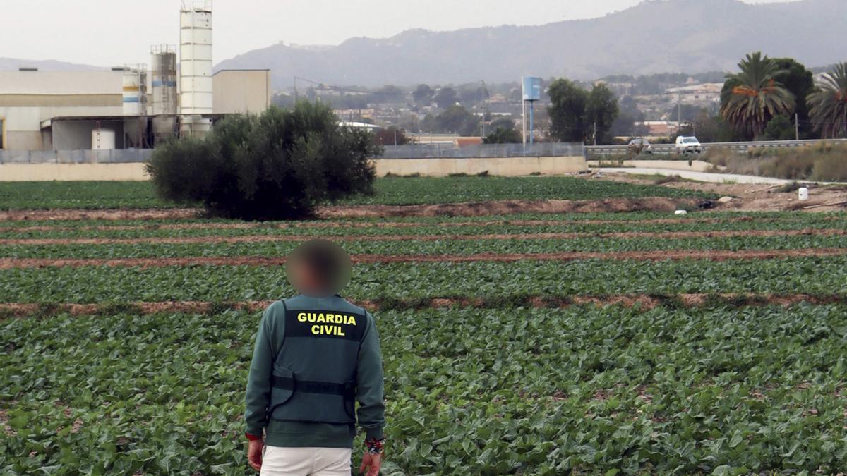 Guardia Civil inspecciona la fina de Totana