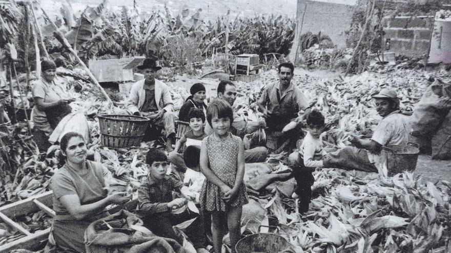 Los días de la ANEMIA canaria