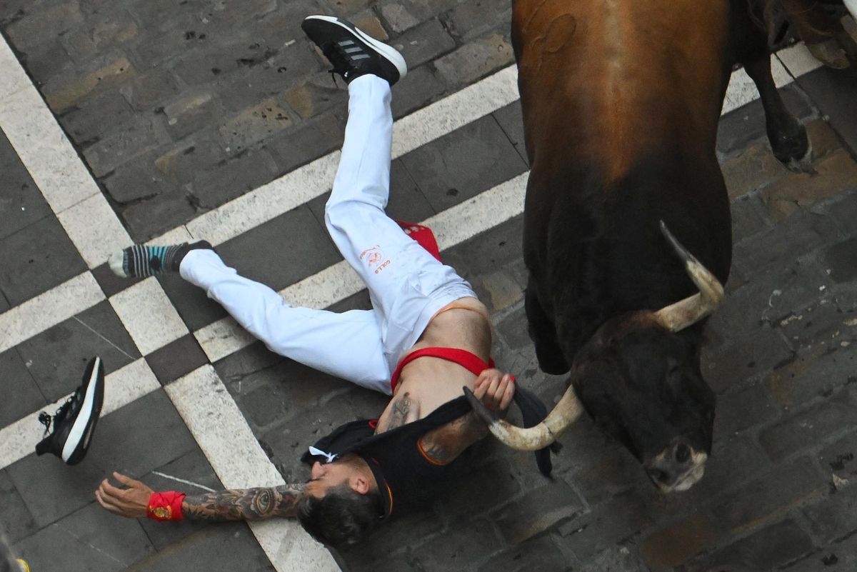 Un trozo del polo se le ha quedado enganchado de una de las astas del toro.