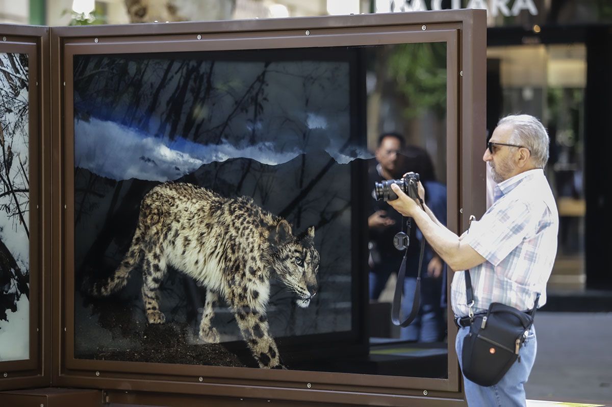 Las fotos de National Geographic en la Bienal de Córdoba