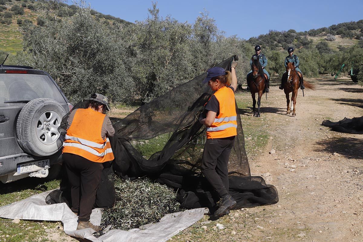 El dispositivo ROCA de la Guardia Civil en acción: unidad equina