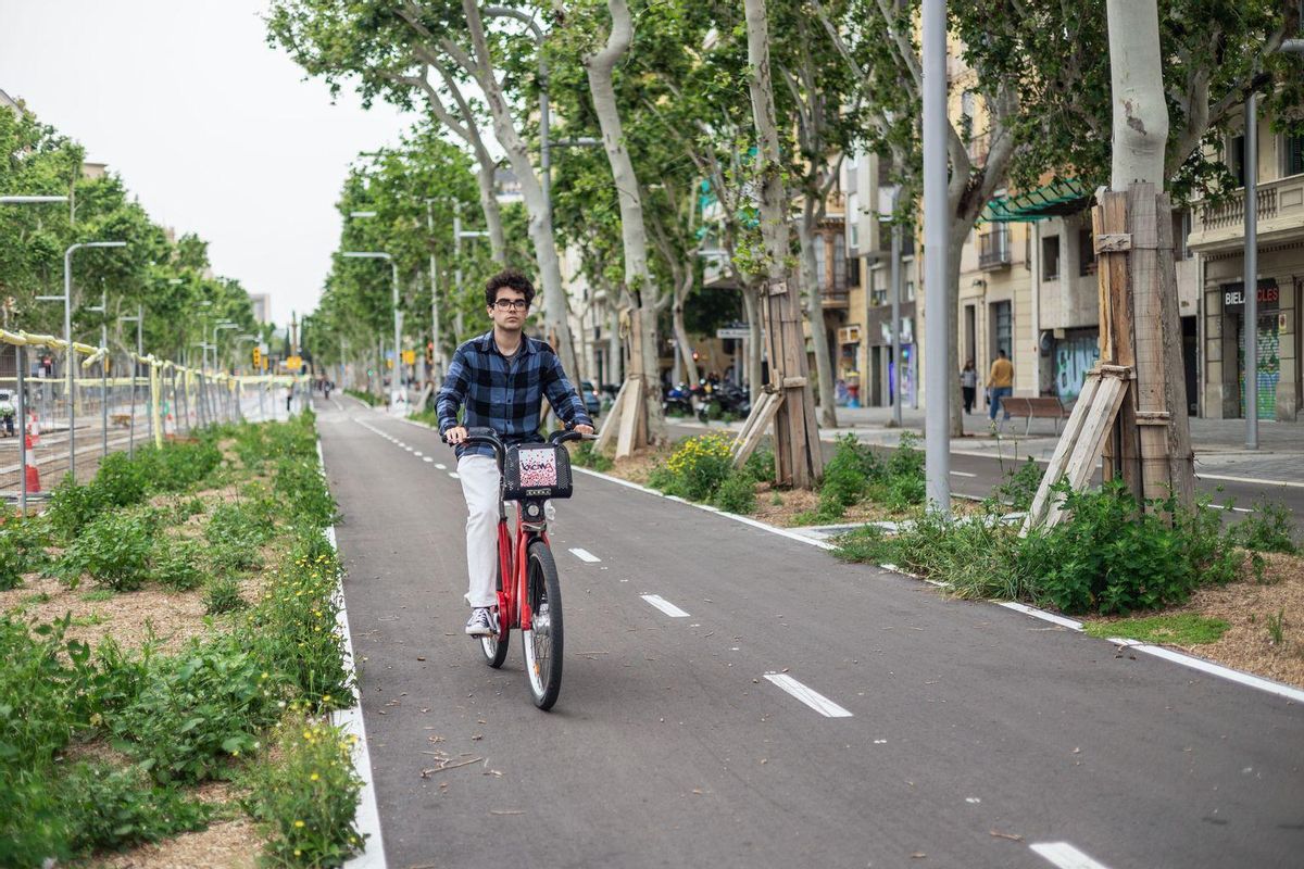 Un jove va amb bicicleta pel carril bici de l’avinguda Diagonal