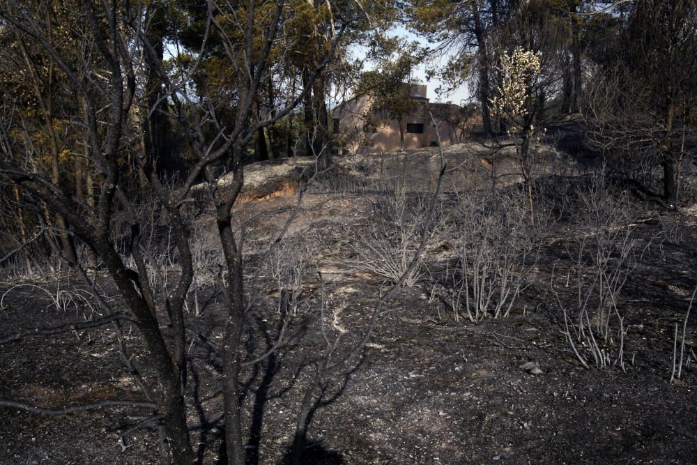 Incendi a Vilopriu