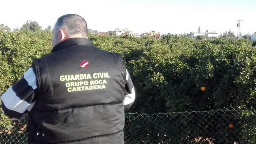 Un agente del Grupo ROCA, durante el operativo.