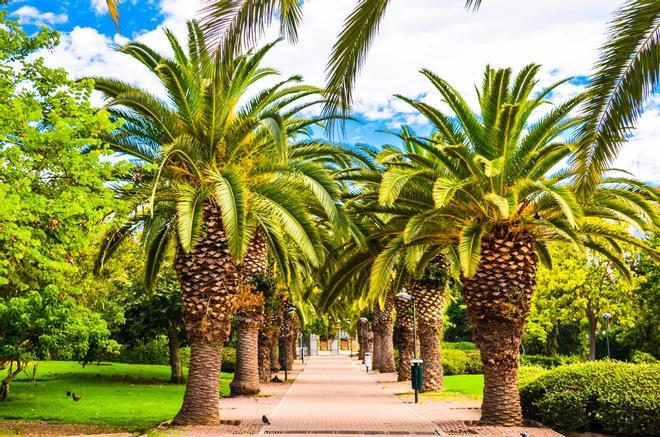 Parque de la Paloma, Málaga