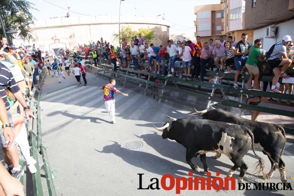 Segundo encierro de Calasparra