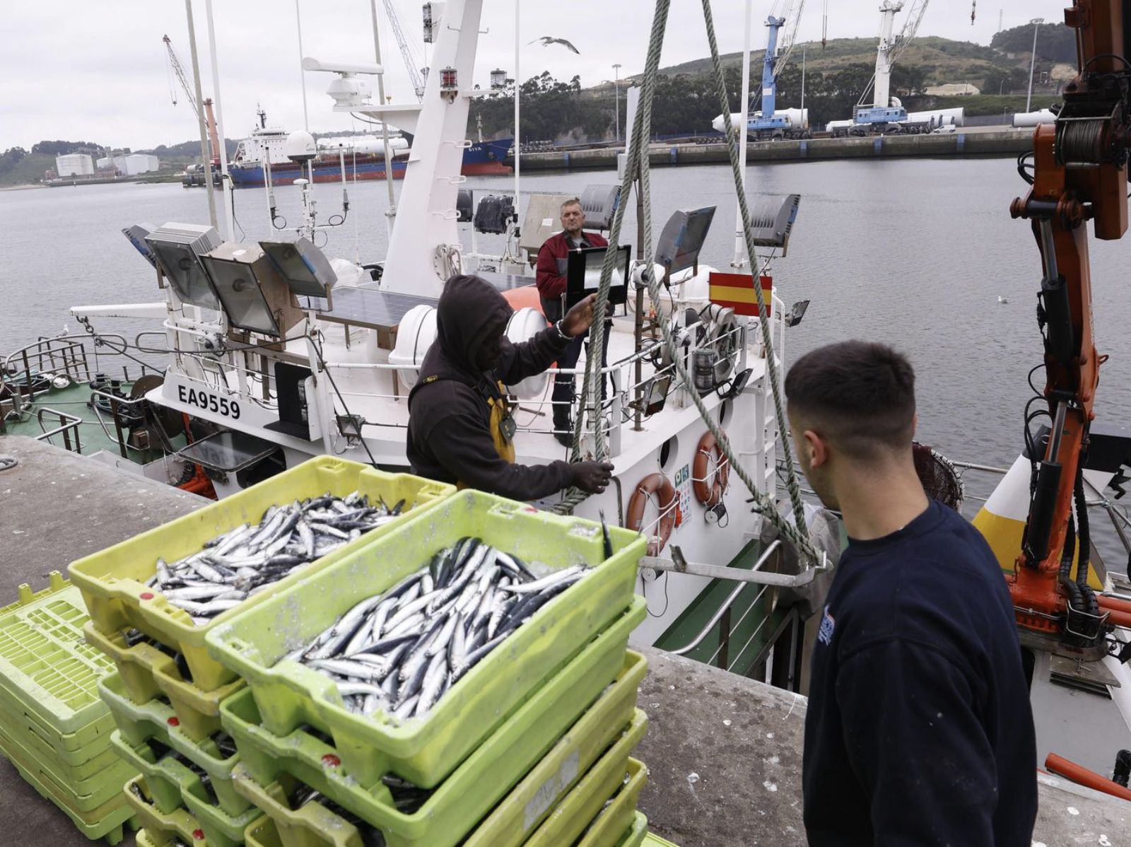 Ester lima pinheiro erome