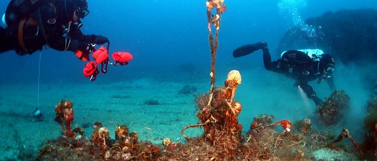 Neix un projecte pioner a la Costa Brava perquè els banyistes i bussejadors ajudin a localitzar xarxes de pesca fantasma