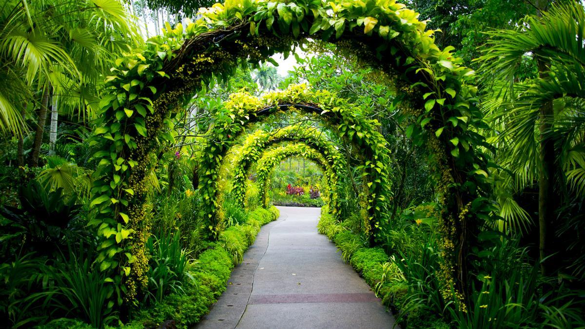 Los jardines botánicos de Singapur.