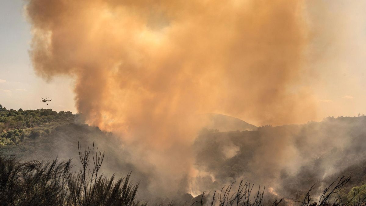 El fuego arrasa 570 hectáreas en Vilardevós