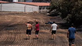 Ecologistas llevan al Govern ante la fiscalía por "irresponsabilidad" al permitir trabajos agrícolas en el incendio de la Segarra