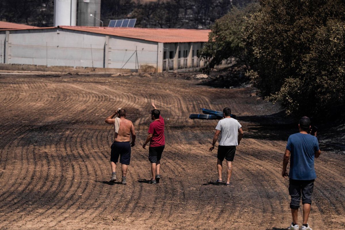Renant (Lleida), 2 de julio de 2025. Agricultores ayudan a suministrar agua a una granja de cerdos afectada por el incendio que arrasó la comarca de la Segarra, dejando dos muertos y miles de evacuados.