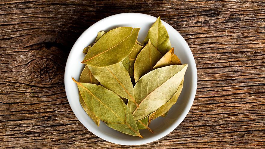 Dejar hojas de laurel debajo de la cuna: el remedio que cada vez hace más gente (y con motivo)