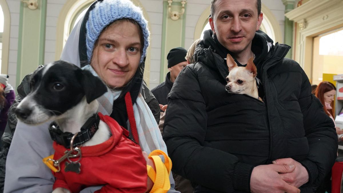 Refugiados de Ucrania con sus perros llegan a la estación de tren de Przemysl, en el este de Polonia, el 4 de marzo de 2022.