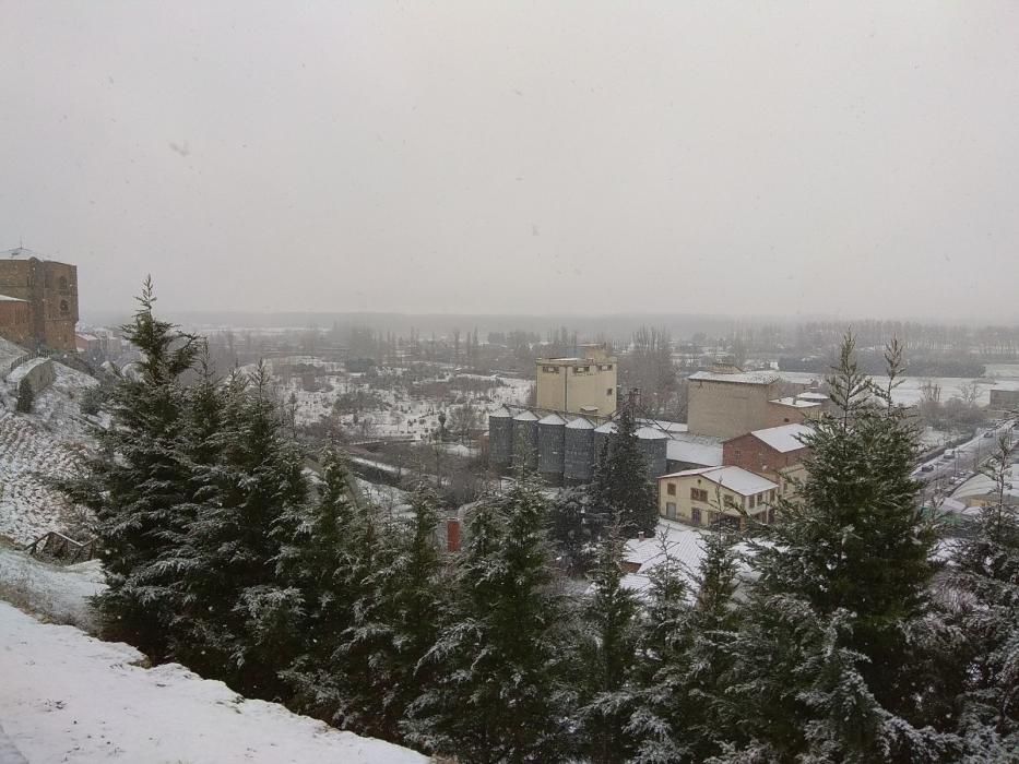 La nieve llega a Benavente