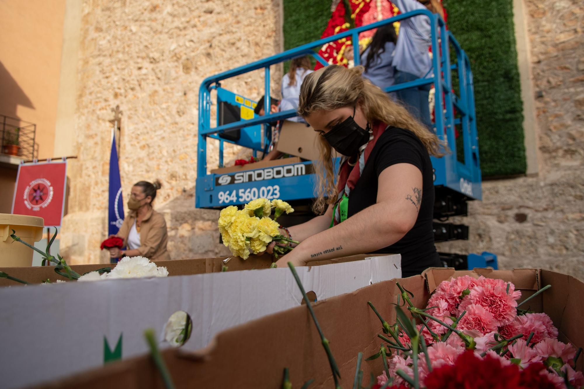 Así ha vestido Almassora el tapiz de flores en honor a Santa Quitèria