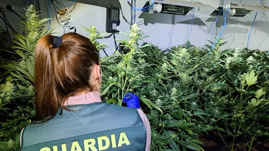 Un incendio por un enganche ilegal a la luz destapa una plantación de marihuana en Almassora