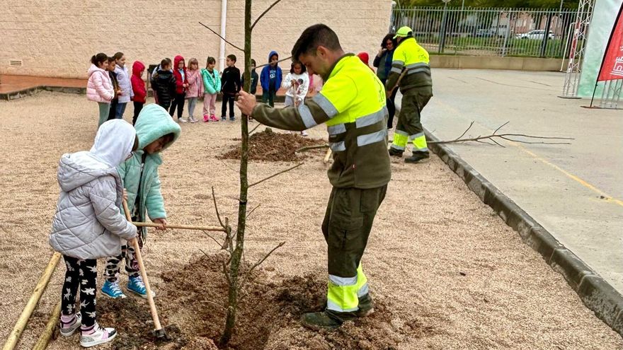 Un árbol por cada clase en el colegio de El Palmar, en Murcia
