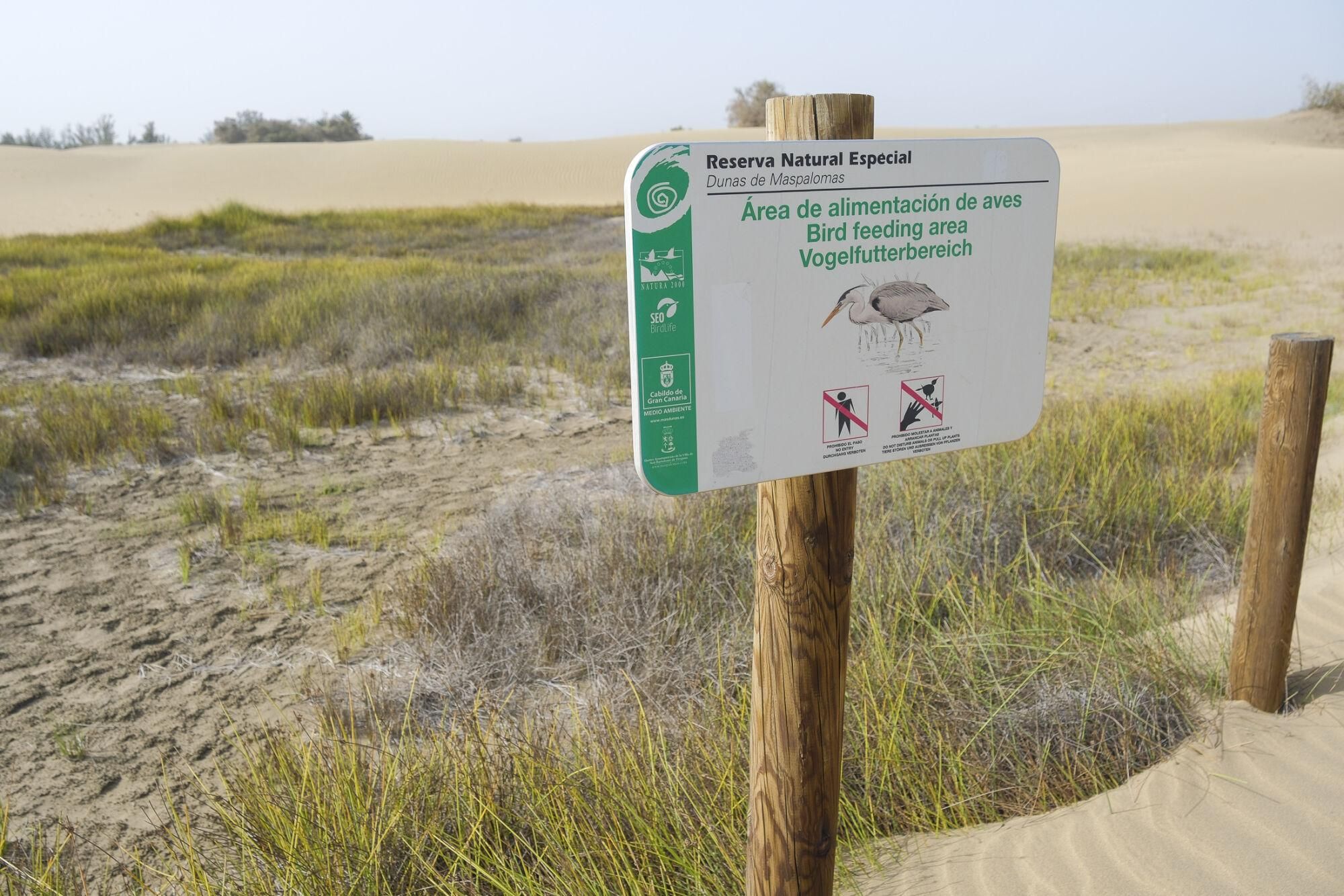 La Guardia Civil y el Cabildo controlan los accesos a las Dunas de Maspalomas