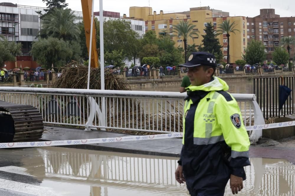 El Segura, en Murcia, a punto de desbordarse