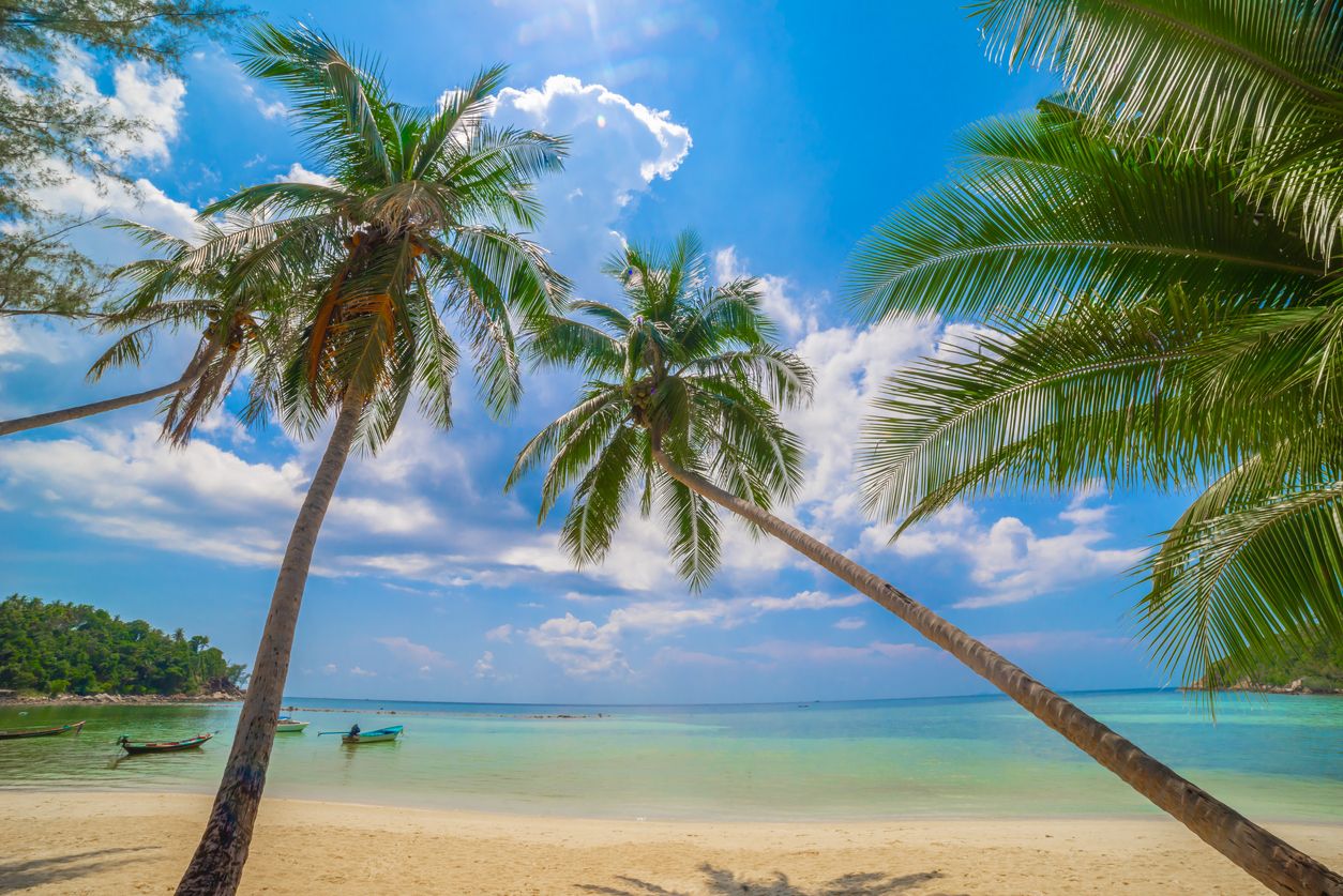 Estas son las 5 actividades que tienes que hacer en tu próximo viaje a Punta Cana
